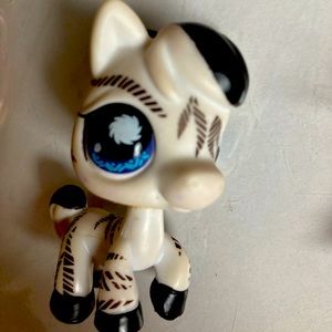 LPS zebra pet